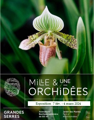 Exposition Mille & Une ORCHIDEES Exposition Mille & Une ORCHIDEES