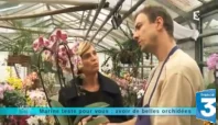 Vignette reportage France 3