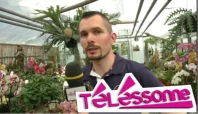 Vignette reportage sur Téléssonne